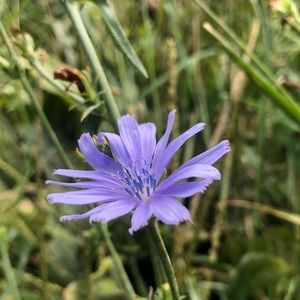 Meet your Posher, Tess